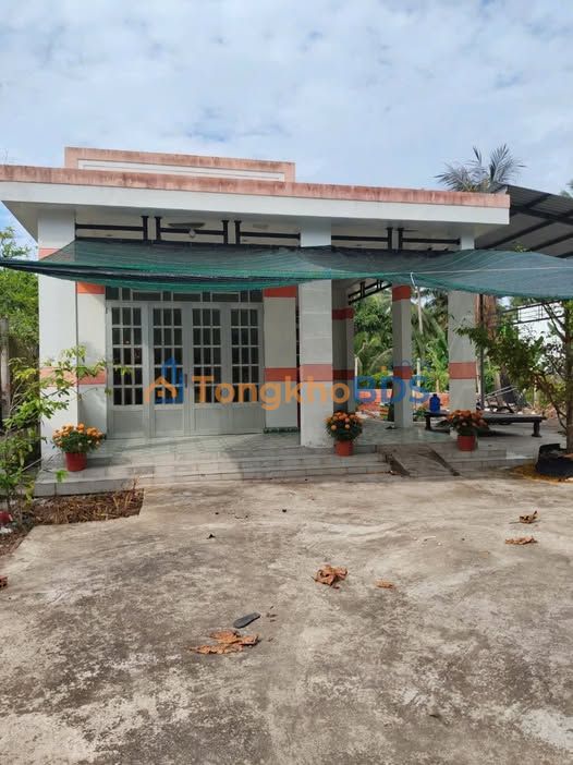 Bán Gấp Đất Vườn 3294m² Kèm Nhà Phường 6, Bến Tre - Chỉ 1.7 Tỷ