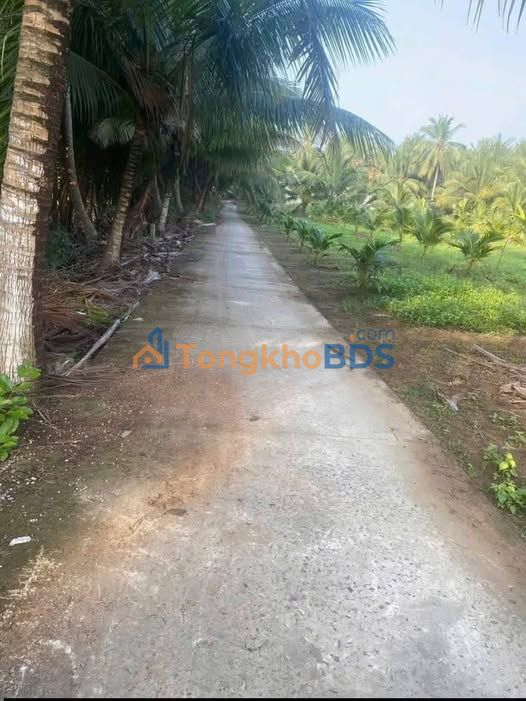 Đất Vườn Bến Tre 985.6m² Sổ Hồng - Giá Đầu Tư 450 Triệu