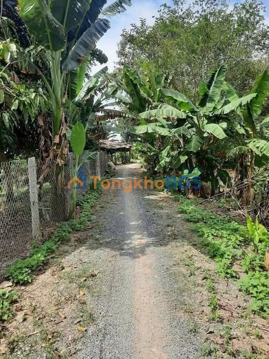 Đất ruộng Vĩnh Thành 1.000m² 290 triệu - Đầu tư dài hạn