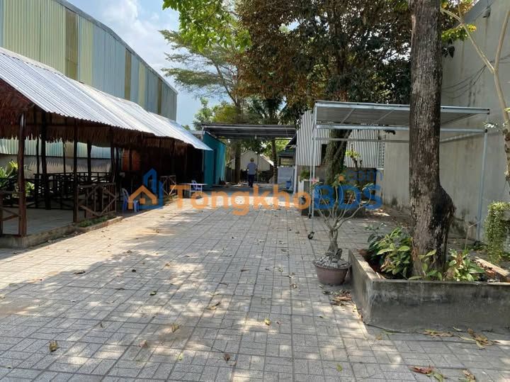 Đất vườn Bình Đức Long Xuyên 1918m² 6 tỷ - Sinh thái xanh