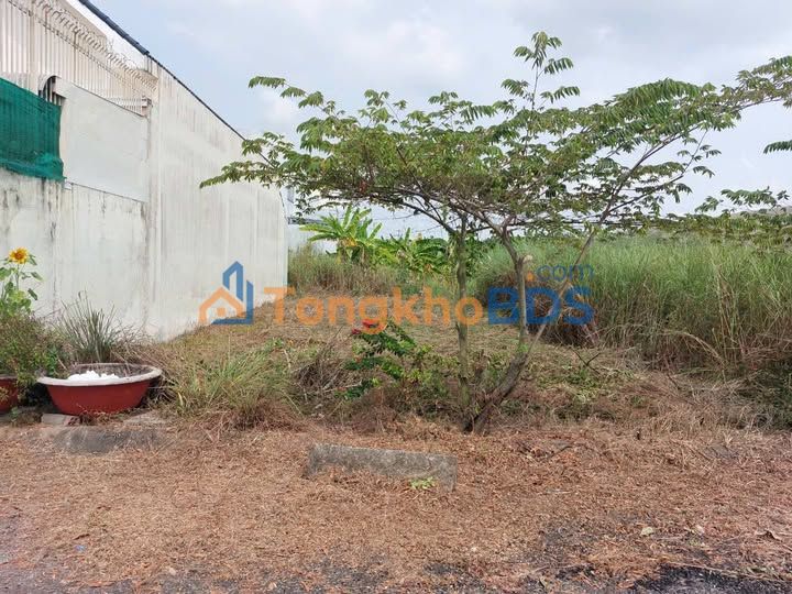 Đất Nền Làng Giáo Viên An Giang 160m² Hướng Nam - Sẵn Sổ Hồng