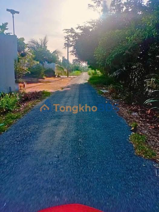 Đất nền Rạch Trà Ôn 15 công 8,25 tỷ - Đường to ôtô