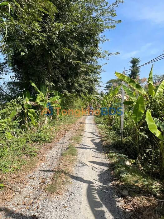 Dat ruong Binh Duc 1.1 cong 657.8 trieu - So hong ro rang