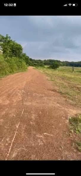 Đất Nền Dầu Tiếng, Bình Dương - 720m² Đường Ô Tô, Giá Chỉ 2xx Triệu/Sào