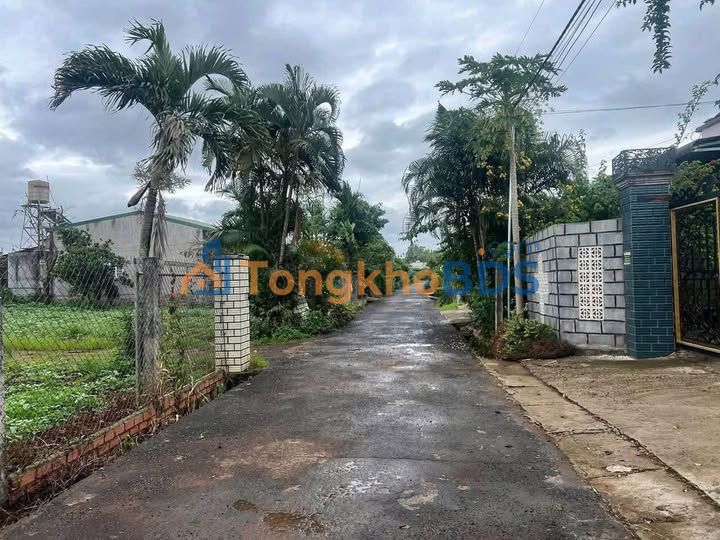 Đất nền Đà Lạt Bằng Cờ 260m² 1.65 tỷ - Thổ cư 100%