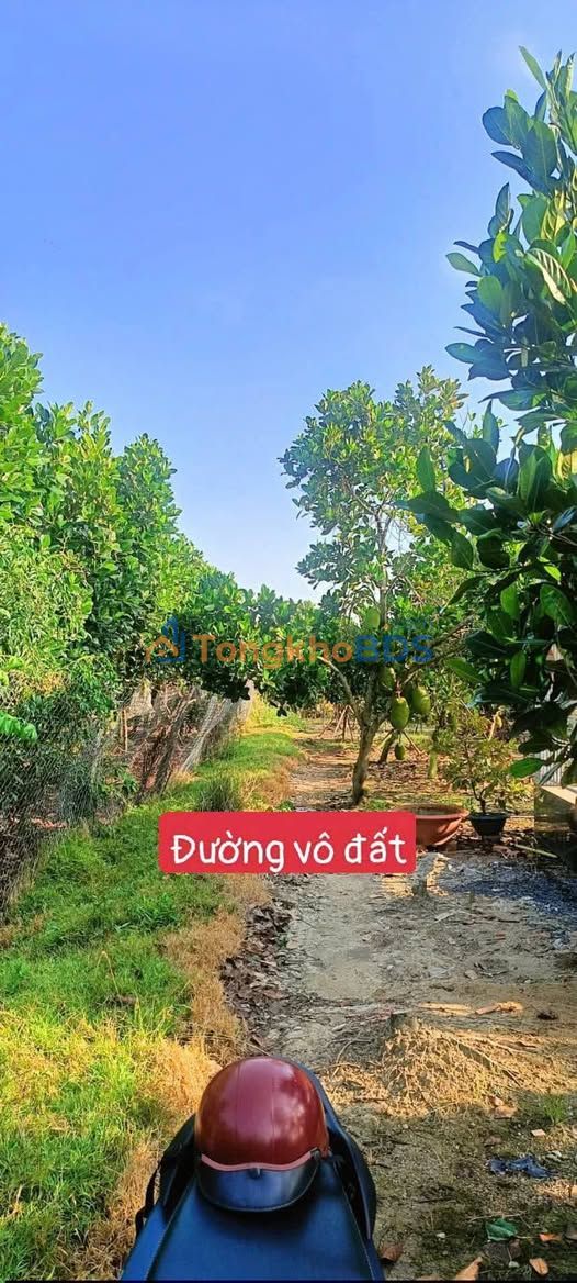 Đất vườn Long Xuyên 4.200m² 1,47 tỷ - Sinh thái xanh
