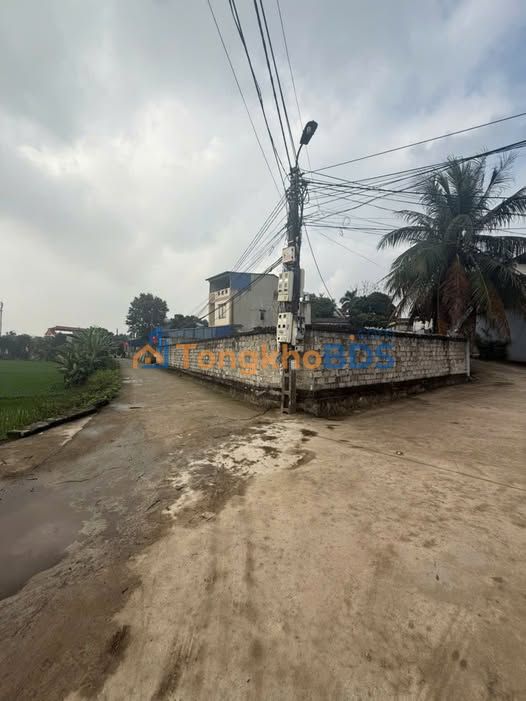 Đất nền Phú Xá Thái Nguyên 80m² 1 tỷ - Sổ đỏ chính chủ