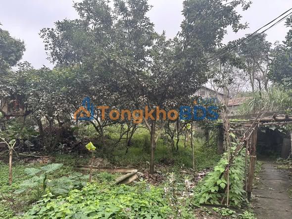 Đất nền phường Tân Long 272m² 1.4 tỷ - Sổ đỏ chính chủ