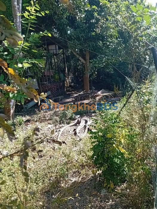 Bán Đất Vĩnh Phú An Giang 252.9m² - Đầu Tư Sinh Lời