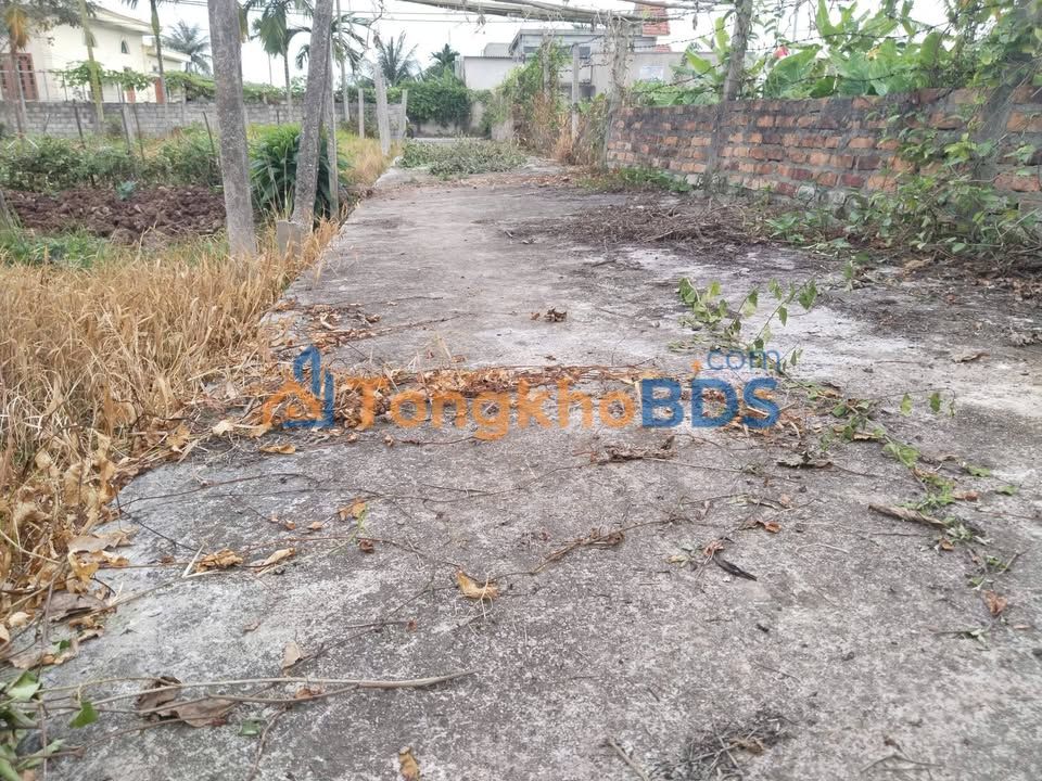 Đất nền An Khánh 61.6m² - Sổ đỏ chính chủ, gần trung tâm 3 xã