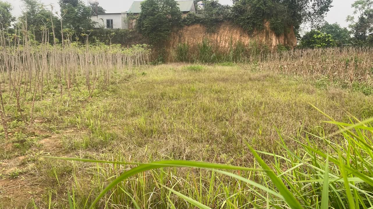 Bán đất nền 327m² Phường Vân Phú, Việt Trì - Hướng Nam, Gần BVVĐ & IC7