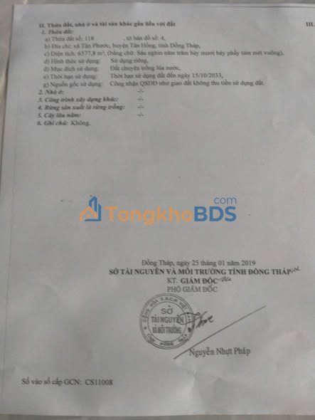 Đất lúa An Phước Hồng Ngự 6.5 công 592 triệu - Sổ đỏ chính chủ