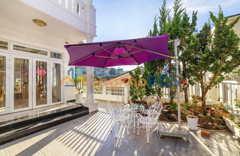 Townhouse Phường 12 Đà Lạt - 20 triệu - Cho thuê ngay