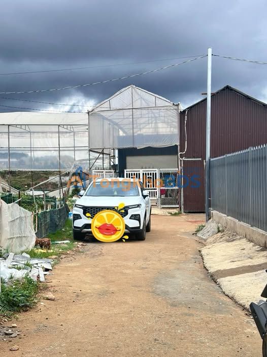 Đất nền Phường 7 Đà Lạt 65m² 900tr - Pháp lý rõ ràng