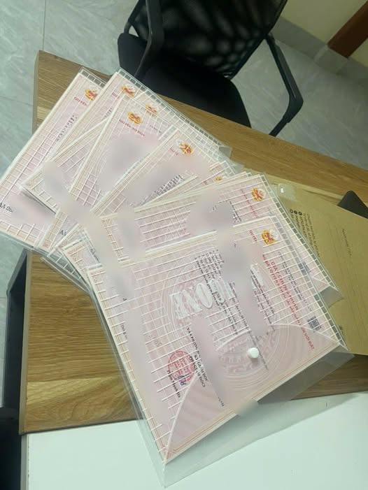 Đất Nền Nam Điền Nghĩa Hưng 125m² - Sổ Đỏ Sẵn Sàng - 800 Triệu