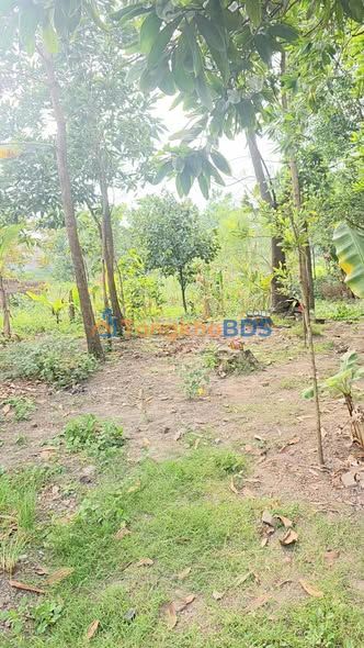 Đất Thổ Cư Phú Bình 138m² Hướng Đông Nam - Giá 1.1 Tỷ