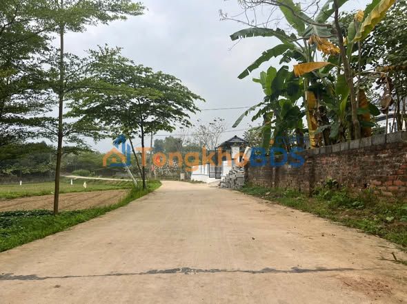 Đất Xây Biệt Thự Vườn 1003m² Phường Gia Sàng, Thái Nguyên - Hơn 2 Tỷ