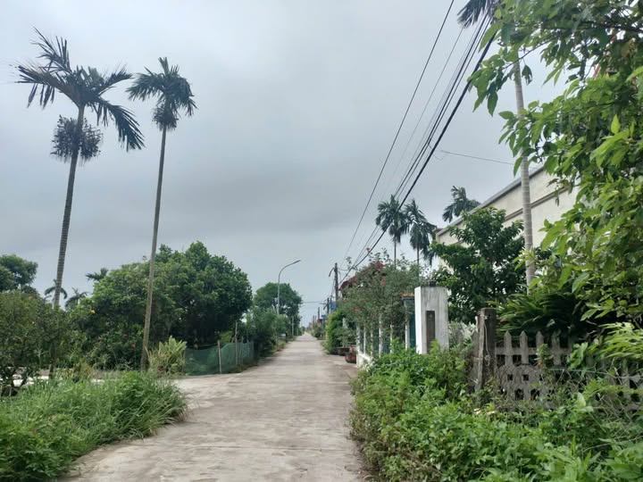 Đất Nền Nam Định 173.55m² - Sổ Đỏ Chính Chủ Xã Hải Quang