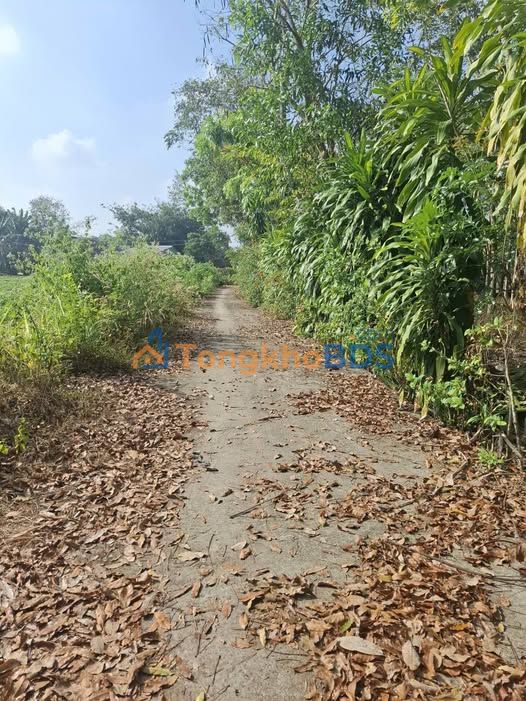 Đất Nền Truông Mít, Dương Minh Châu - 180m² Sổ Hồng Chính Chủ Giá Tốt