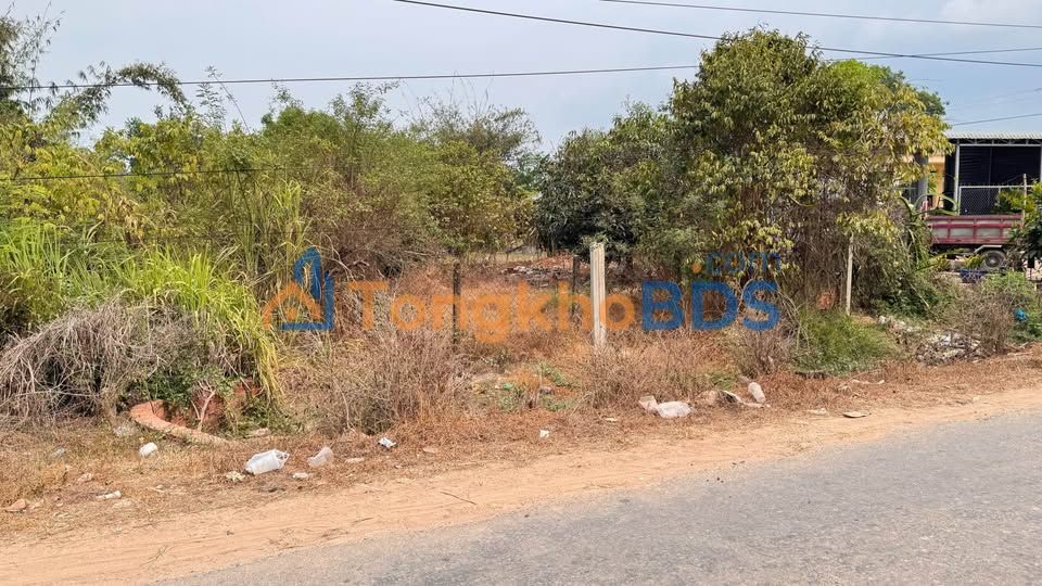 Đất thổ cư 530m² mặt tiền nhựa Long Thuận, Tây Ninh - Giá tốt