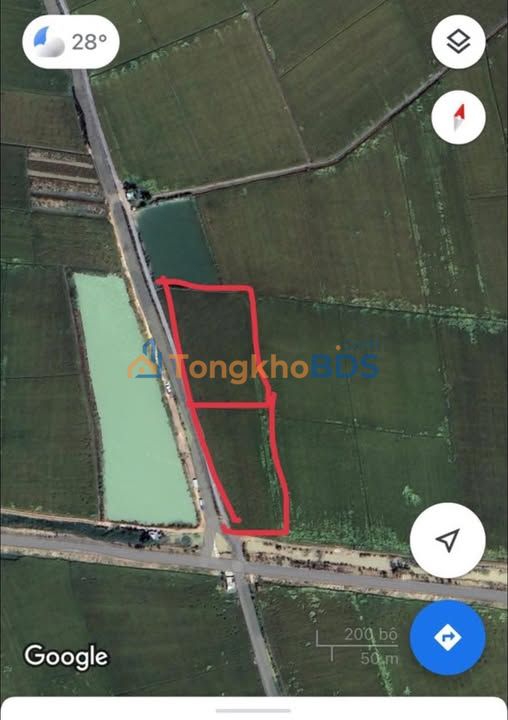 Đất ruộng 9000m² mặt Lộ 30 cũ, Tân Hồng, Đồng Tháp - Giá tốt