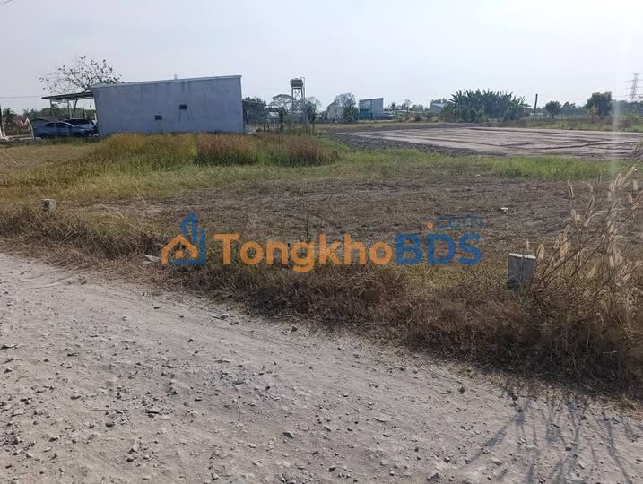 Đất Khu phố An Thới Trảng Bàng 71m² 590 triệu - Tiềm năng tăng giá