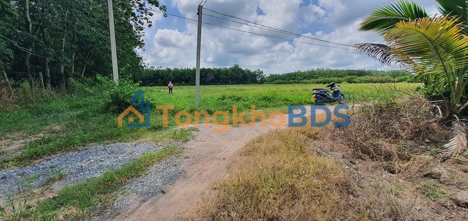 Đất nền Phước Đông Trảng Bàng 2000m² 1-1.198 tỷ - Xây tự do