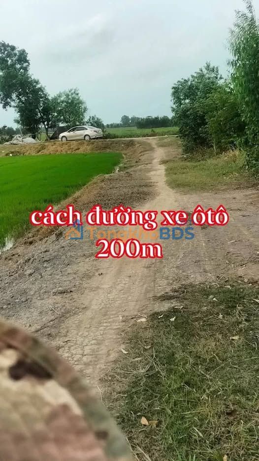 Bán Gấp 6000m² Đất Ruộng Cập Kinh Châu Thành, Trà Vinh - Chỉ 690 Triệu