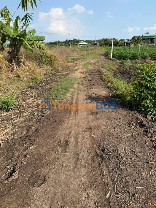 Đất nền Hảo Được Châu Thành 640m² 240tr - Đường to ô tô