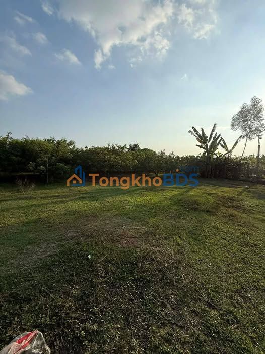 Đất Vườn 610m² Ninh Thạnh, Trảng Bàng - Sổ Hồng Sẵn Sàng Đầu Tư