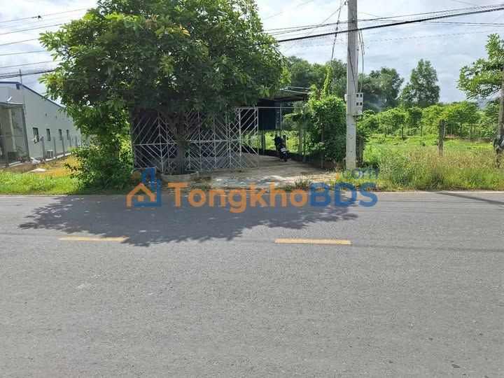 Đất Thổ Cư Gò Dầu 420m² - Ngang 7m, Kinh Doanh Tốt, Giá 1 Tỷ