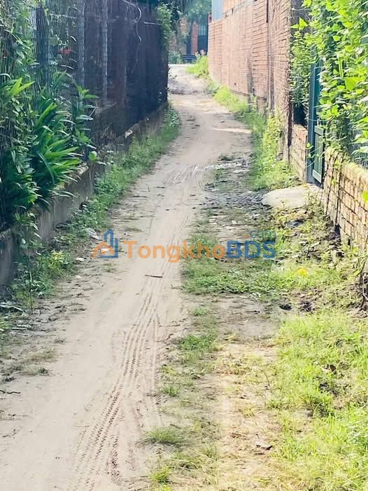 Đất nền Trảng Bàng Tây Ninh 144m² 290 triệu - Sổ đỏ chính chủ