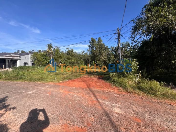Đất nền 330m² 2 mặt tiền, sổ hồng riêng tại Xã Truông Mít, Tây Ninh - Giá 900 triệu