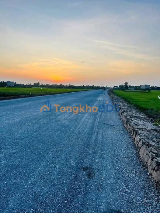 Mặt Tiền Tỉnh Lộ 864 Long Bình Gò Công 225m² Giá 460 Triệu - Đầu Tư Sinh Lời