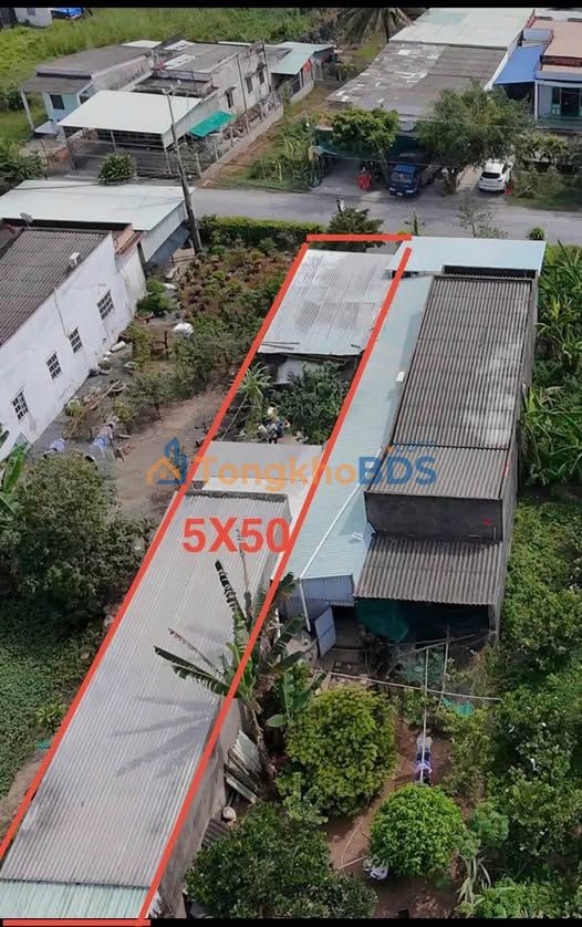 Nhà Mặt Tiền Lê Văn Tưởng Tân An 250m² (Full Thổ Cư) - Giá 2 Tỷ