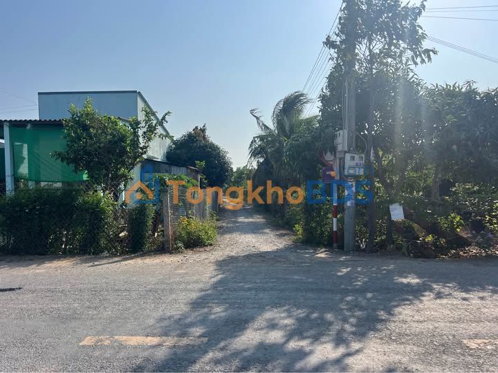 Bán Đất Gò Công Đông 115m² - Sổ Hồng Riêng, Giá Đầu Tư 280 Triệu