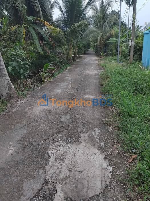 Đất Nền Vị Trí Đẹp Phường Phú Khương, Bến Tre - 114m² Giá Tốt