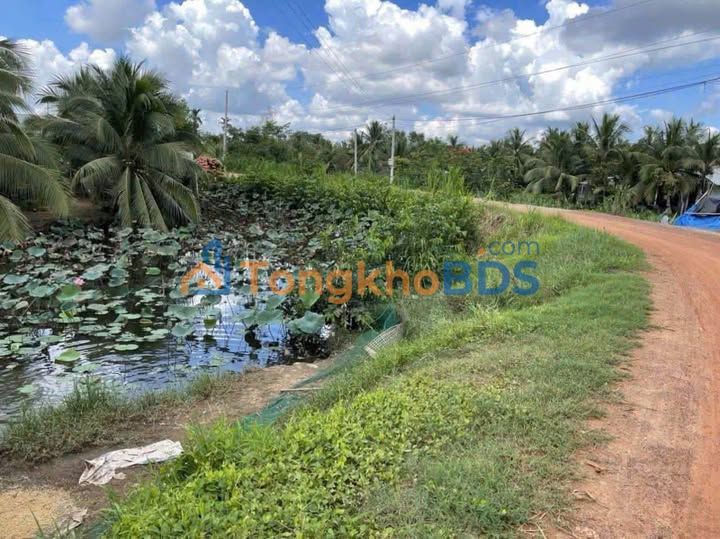 Bán Đất Lúa 673m² Mặt Tiền Nguyễn Văn Quá, Tân An - Sổ Hồng Chính Chủ