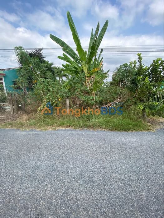 Bán Gấp Đất 147m² Full Thổ Cư Tân Hưng, Đồng Tháp - Giá 750 Triệu