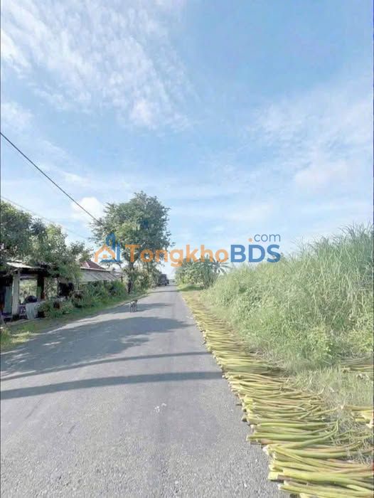 Bán Gấp Đất Thổ Cư Tân An 135m² - Sổ Hồng Sẵn Sàng