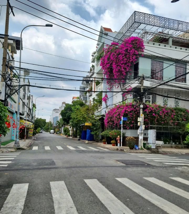 Nhà Mặt Tiền 88m² Đường Họ Lê, Tân Phú - Dòng Tiền 20 Triệu/Tháng