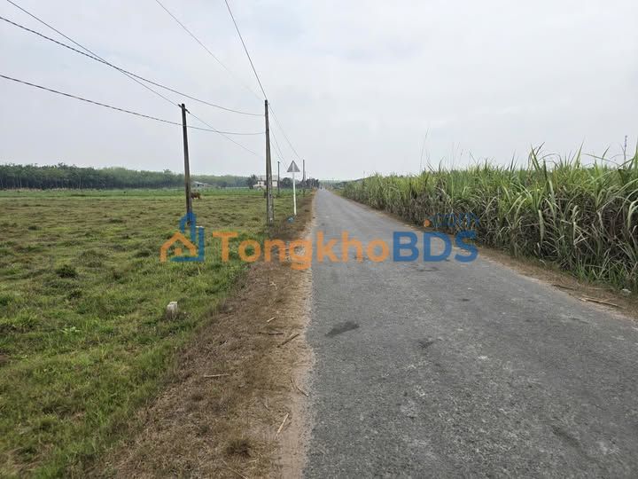 Đất Nền Mặt Tiền Nhựa Tân Phong, Tây Ninh - 200m² Giá Chỉ 190 Triệu