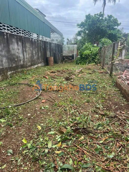 Đất Mặt Tiền KA1 - Buôn Ma Thuột - 300m² Thổ Cư - Giá Tốt 2.55 Tỷ