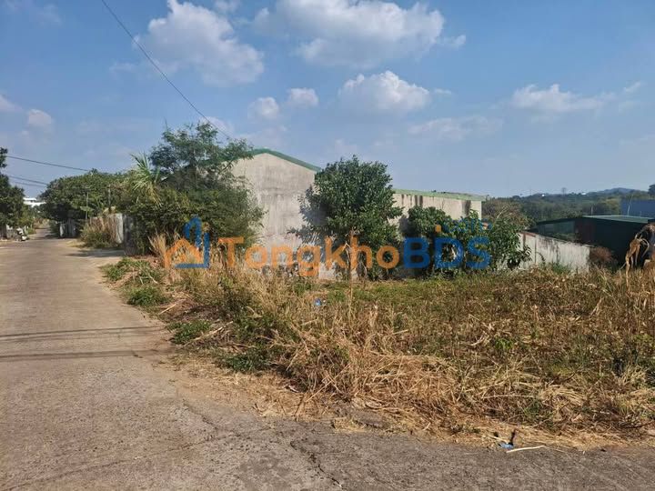 Đất Nền Góc 2MT Hẻm 47 Tạ Quang Bửu BMT - 95m² Thổ Cư - 870 Triệu