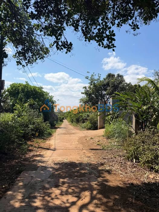 Đất nền Eakao Buôn Bông, Đắk Lắk - 140m² Thổ Cư, Giá 629 Triệu