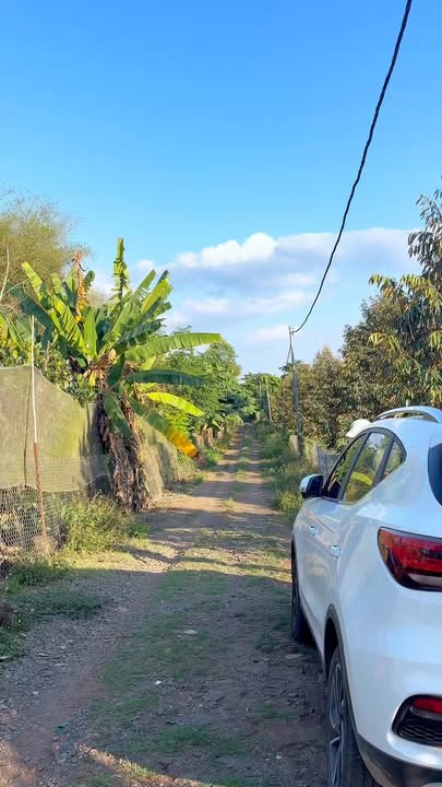 Đất Vườn 9542m² Mặt Tiền Đường 258, Biên Hòa - Giá 8.5 Tỷ