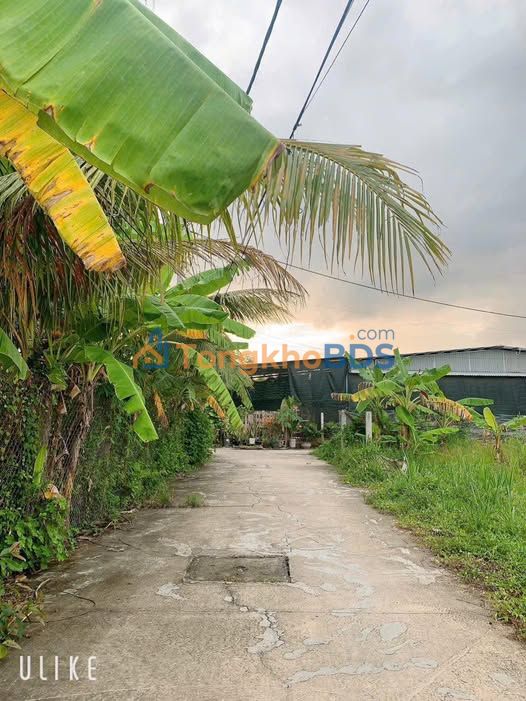 Bán Đất Thổ Cư Mặt Tiền Đường Ô Tô, TP Mỹ Tho - 680 Triệu