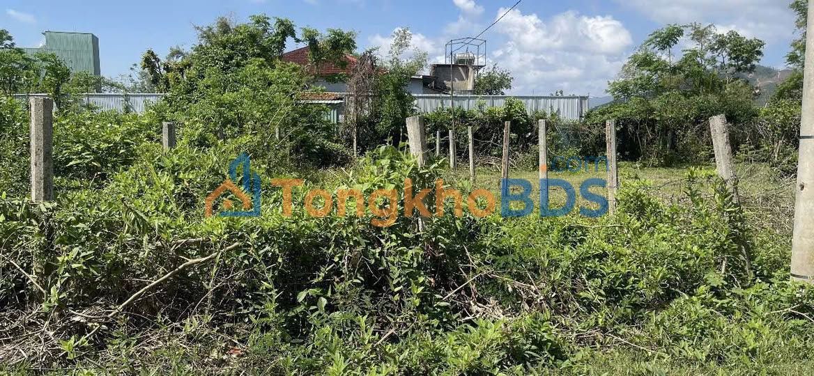 Bán Đất Phước Thành, Bình Định 110m² - Sổ Hồng Riêng, Giá Chỉ 4xx Triệu