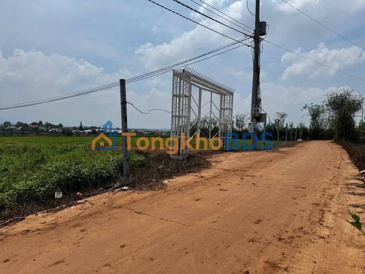 Bán Đất Nền 1000m² Đức Trọng - Sổ Đỏ Thổ Cư Sẵn Sàng