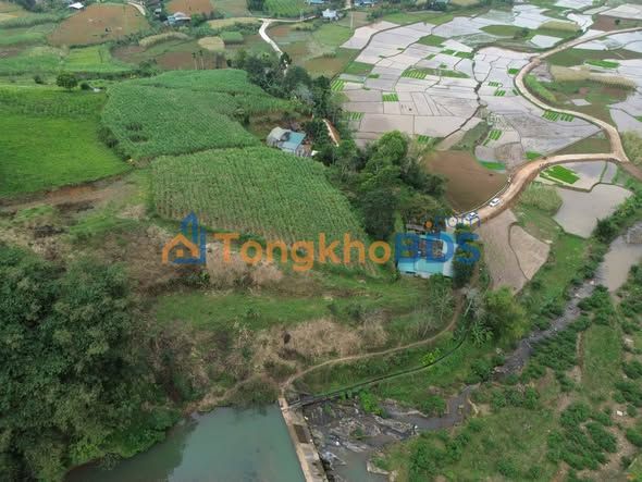 Farm Dũng Phong 2.500m² 875 triệu - Suối nghỉ dưỡng